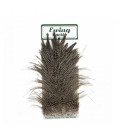 Ewing Schlappen Hackle Feathers – Premium Fly Tying Material for Streamers & Saltwater Flies