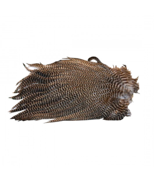 Ewing Saddle Fly Tying Hackle – Premium Feather Saddle for Fly Fishing