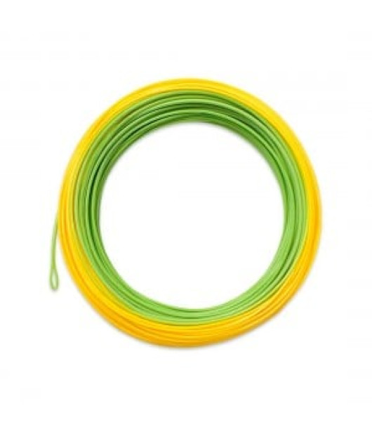 Airflo Forge Fly Line – High-Performance Saltwater & Freshwater Fly Line for Streamers and Big Game Flies